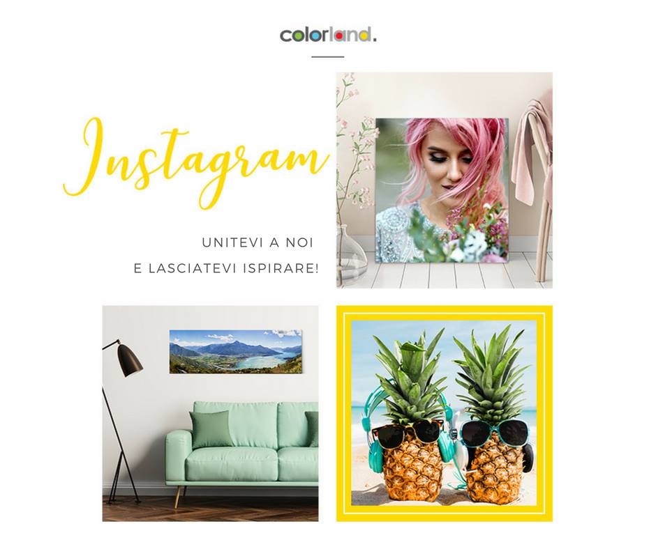 Colorland su Instagram