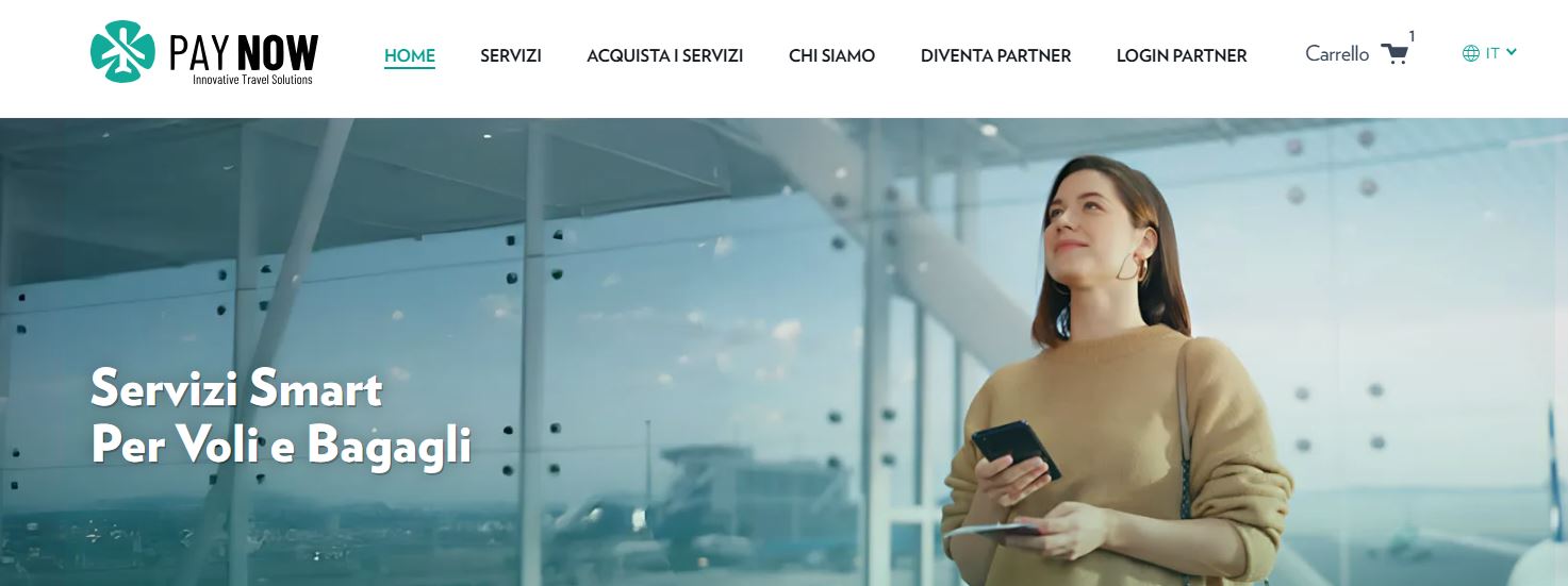 paynowsolution.com